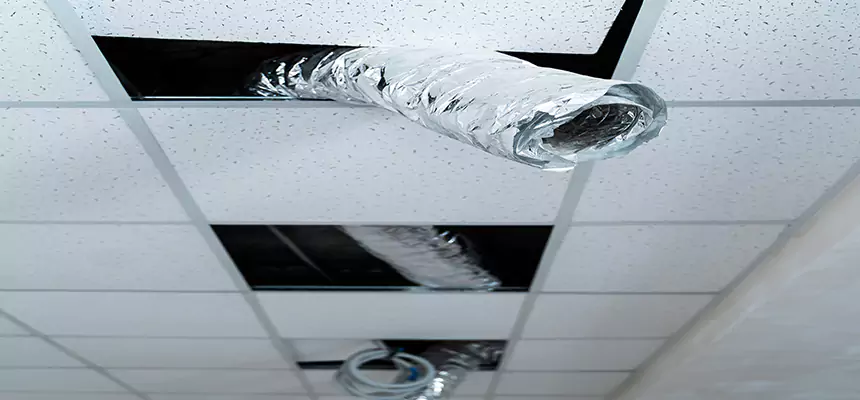 Our Air Duct Pet Hair Removal Services in Germantown, MD