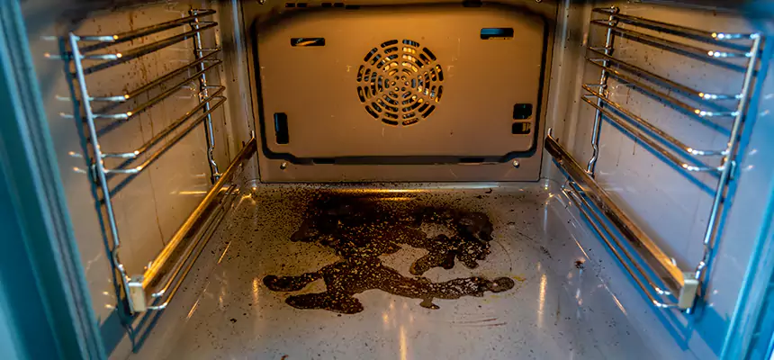 Our Dryer Vent Mold Cleaning Services in Germantown, MD