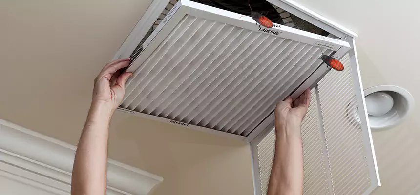 Our Insect Removal from Air Ducts Services in Germantown, MD