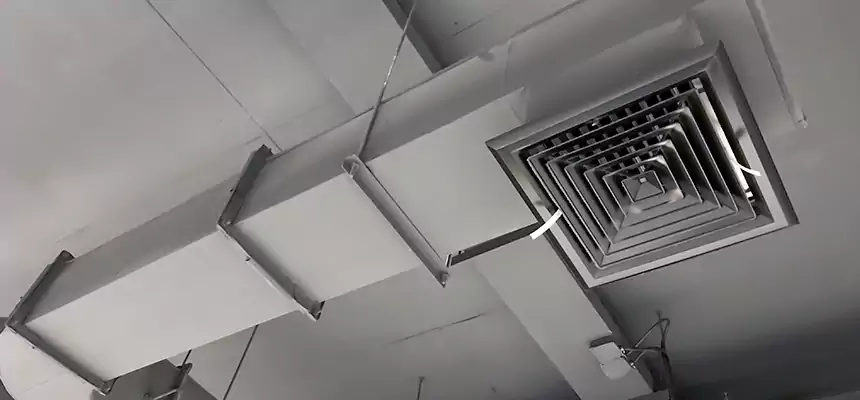 Our Pest Removal From Ducts Services in Germantown, MD