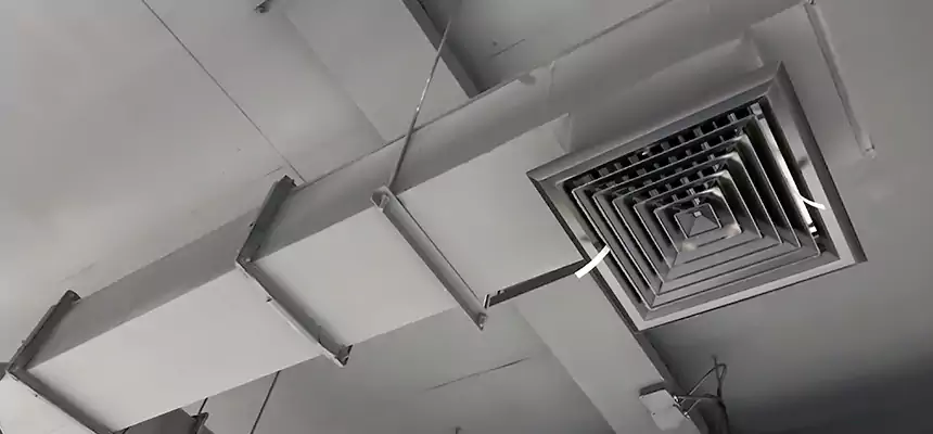 Our Rodent Droppings In Vents Services in Germantown, MD