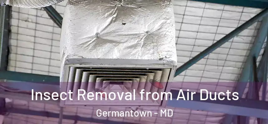 Insect Removal from Air Ducts Germantown - MD