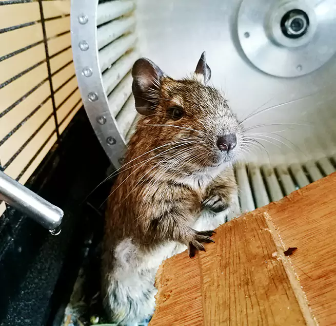 Why Homeowners & Businesses Trust Us Germantown, MD